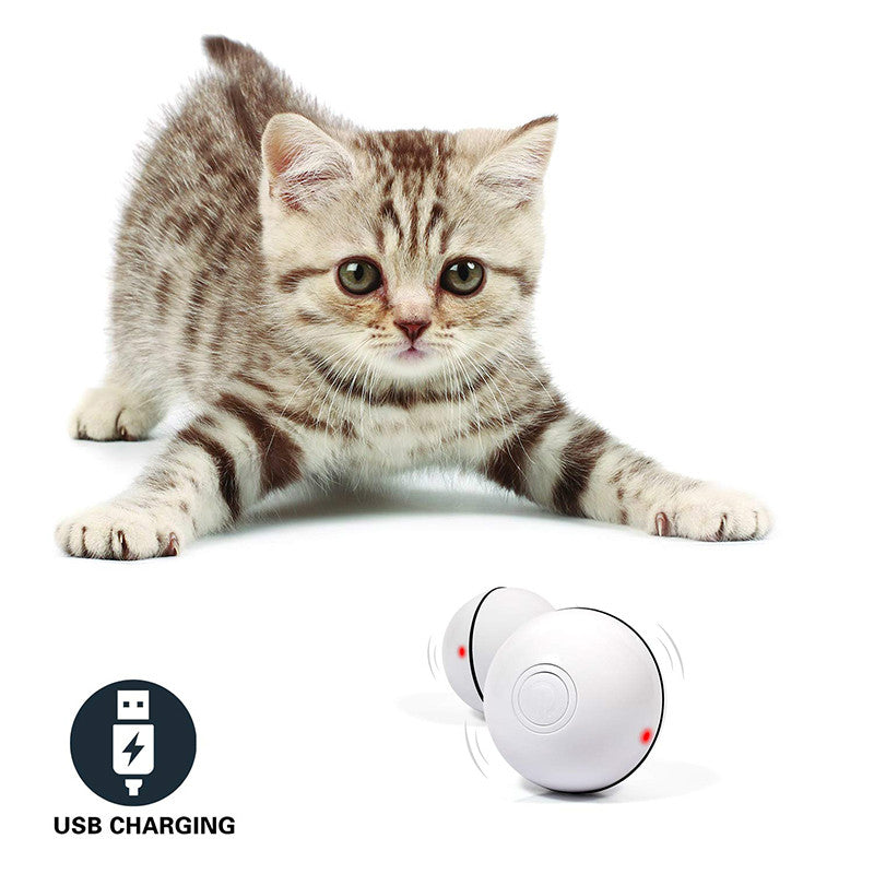 RNox LED Laser Rolling Cat Toy Ball