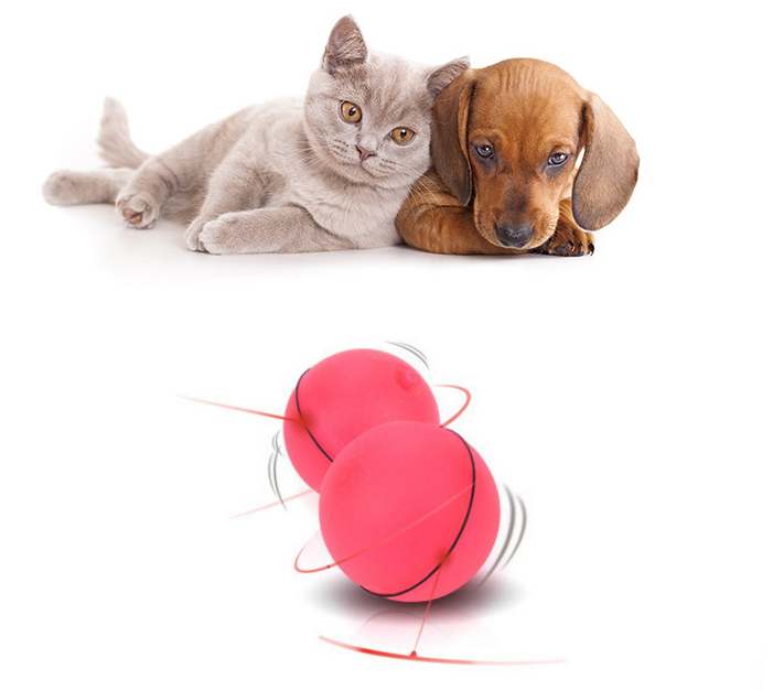 RNox LED Laser Rolling Cat Toy Ball